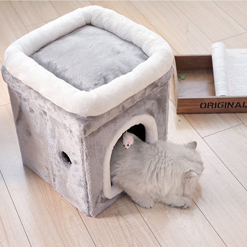 Katzen Haus Tiefschlaf Haus