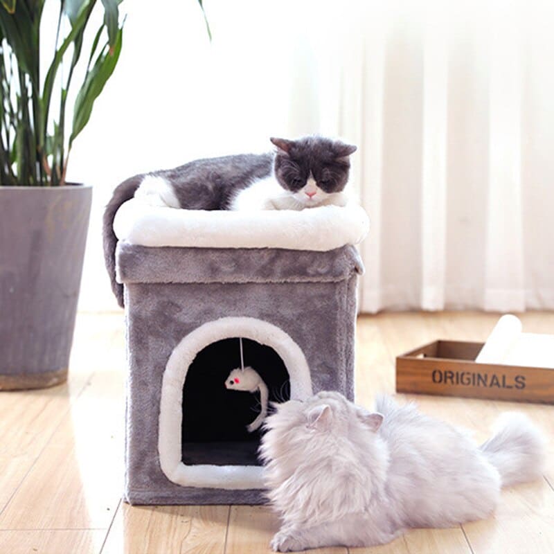 Katzen Haus Tiefschlaf Haus