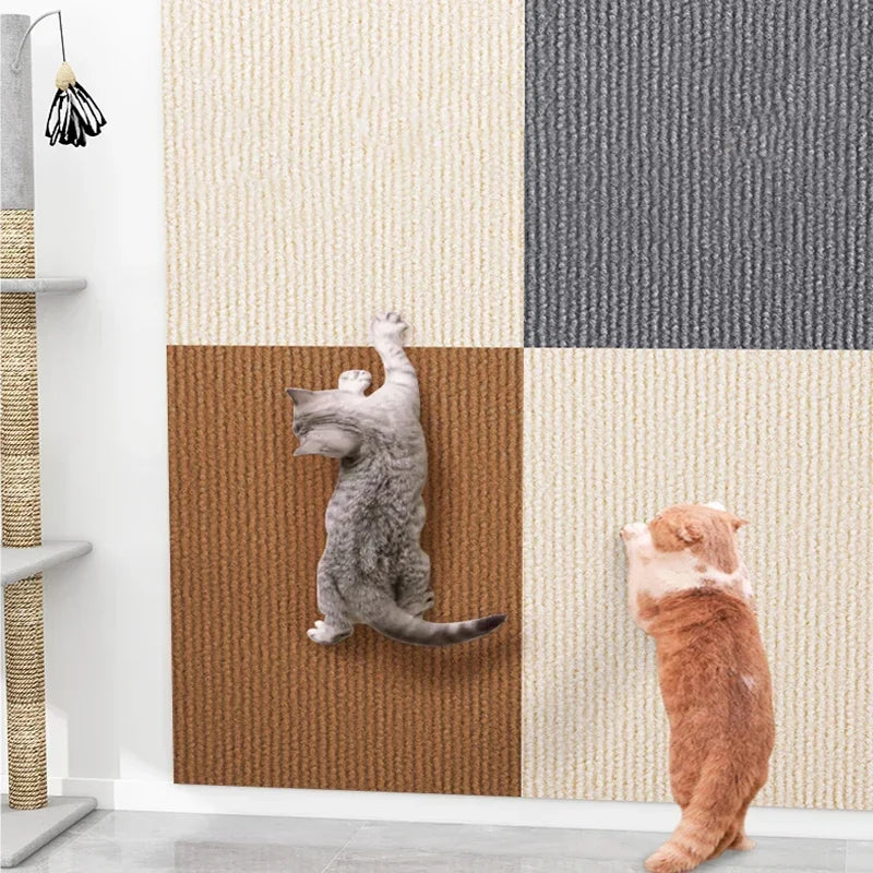 Scratch Shield