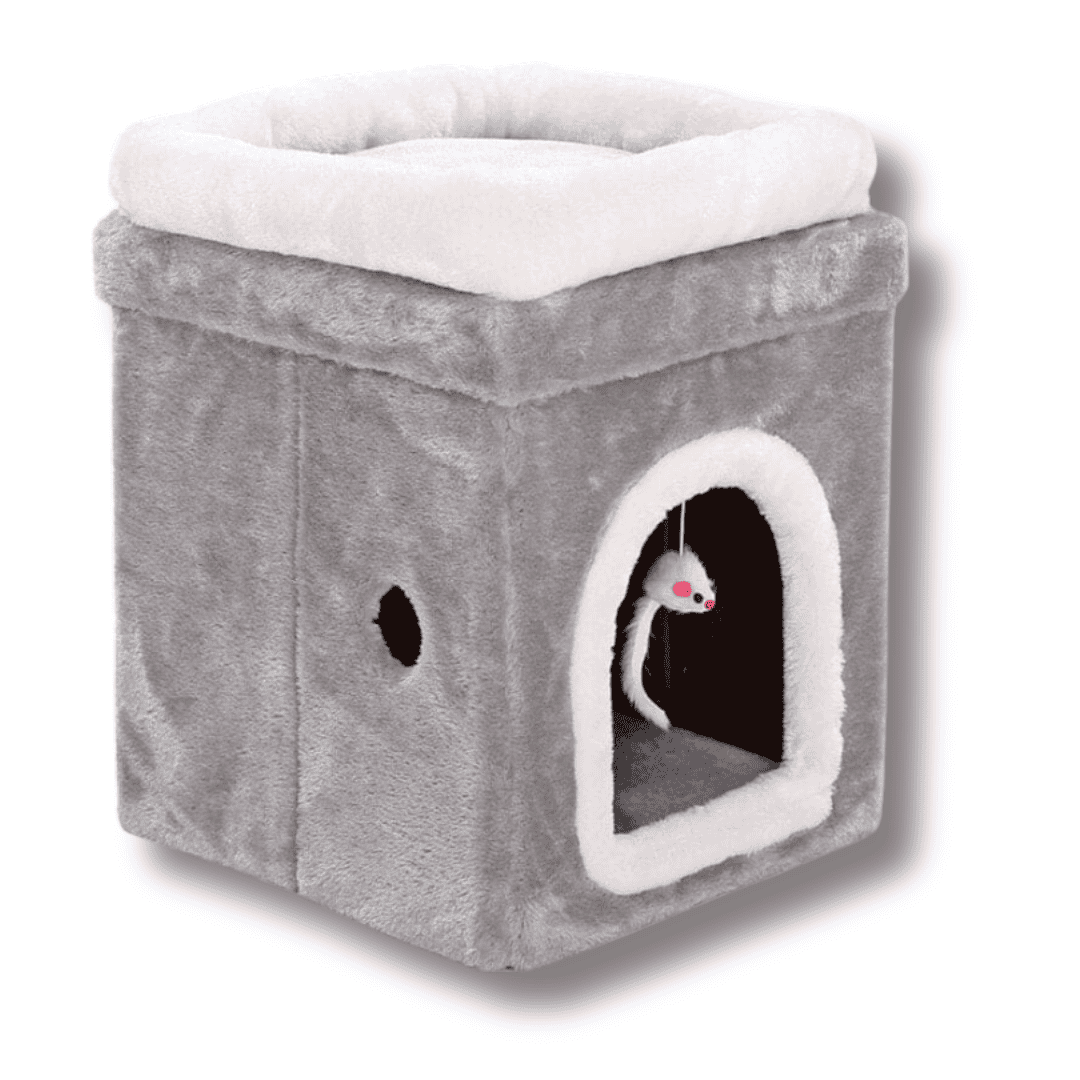 Katzen Haus Tiefschlaf Haus
