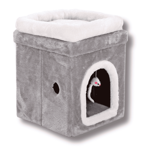 Katzen Haus Tiefschlaf Haus